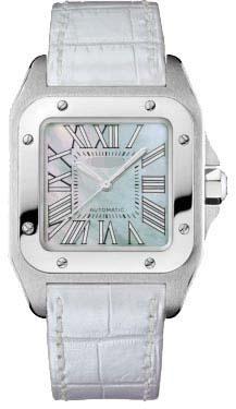 Wholesale Stainless Steel Women W20132X8 Watch